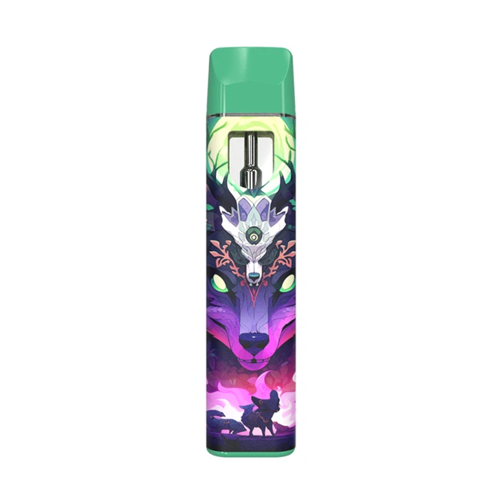 Empty THC Vape Pens | Empty Green Time Disposable Vapes | China Supplier – Empty HHC Pens